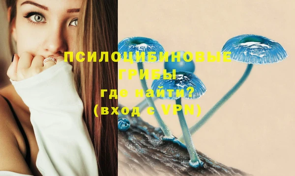 герыч Сосновый Бор