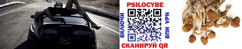 Купить где  Саранск  Галлюциногенные грибы мухоморы 