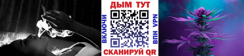 Купить закладки  Саранск  Шишки марихуана SATIVA & INDICA 